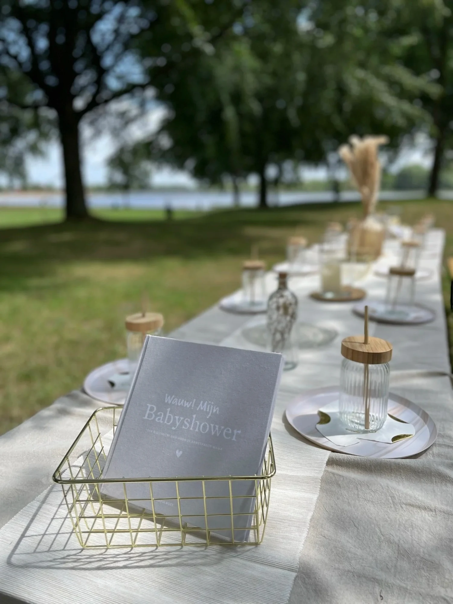 Babyshower at the Park